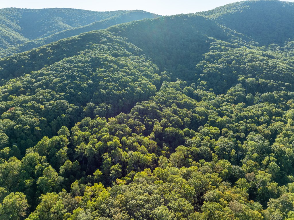 Lot 3 Wilderness Way