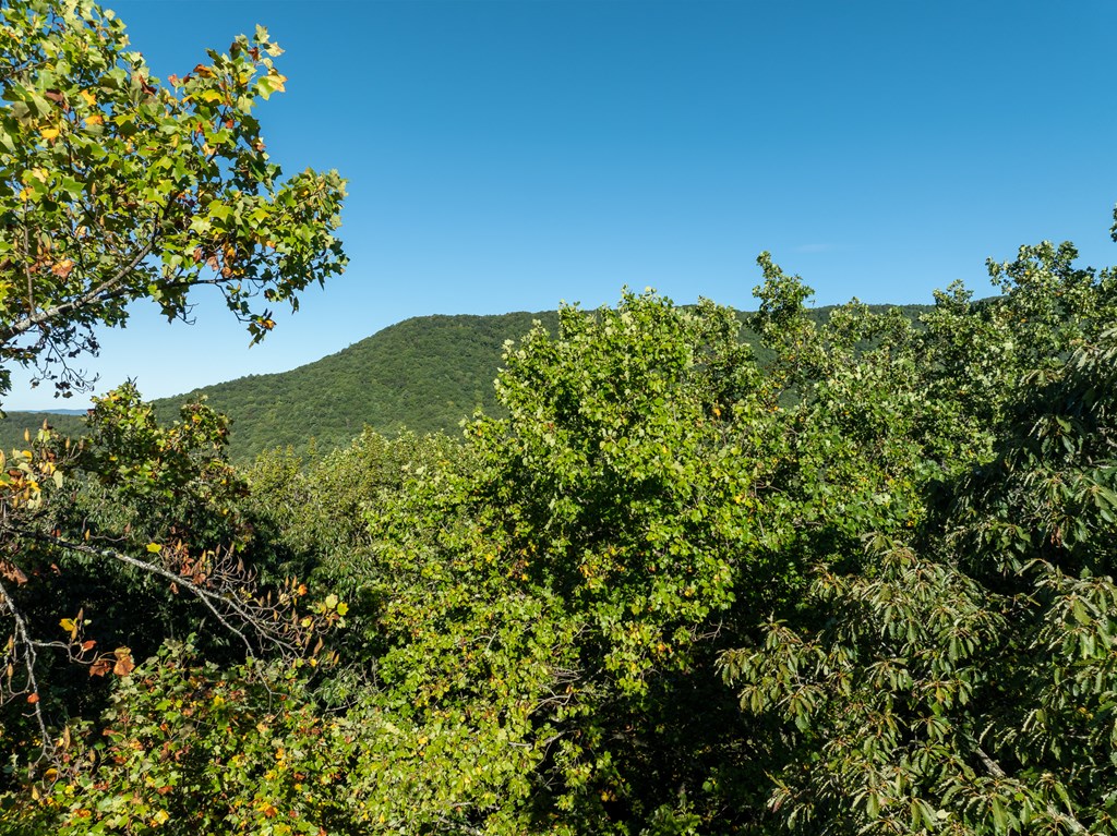 Lot 3 Wilderness Way