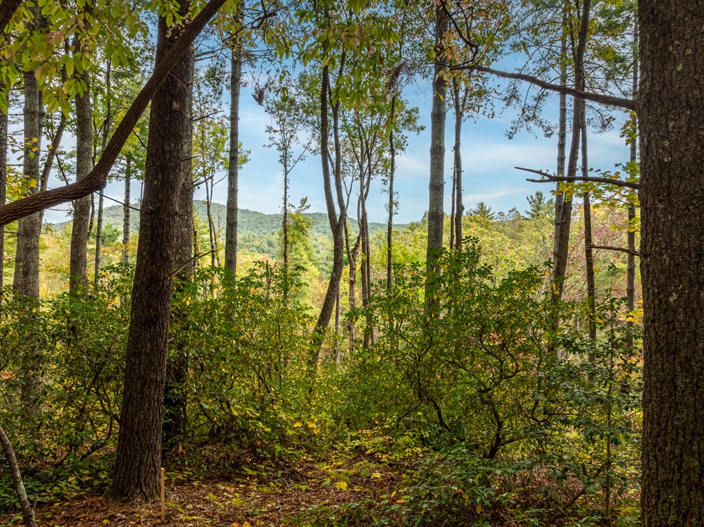 Lot 1 Chief Whitetails Road