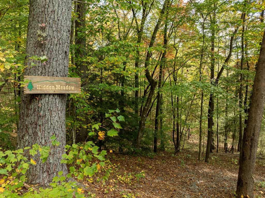 Lot 1 Chief Whitetails Road