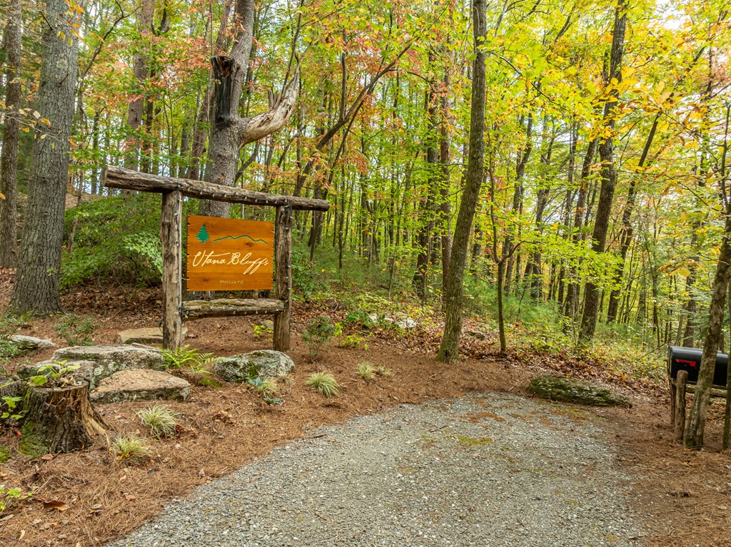 Lot 1 Chief Whitetails Road