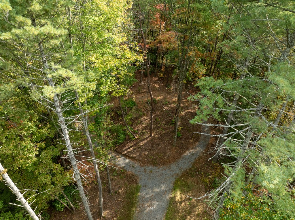 Lot 1 Chief Whitetails Road