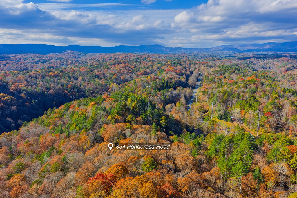 334 Ponderosa Road