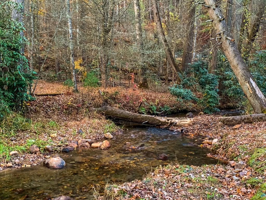 60 Bailey Creek Drive