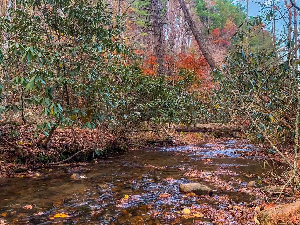 60 Bailey Creek Drive