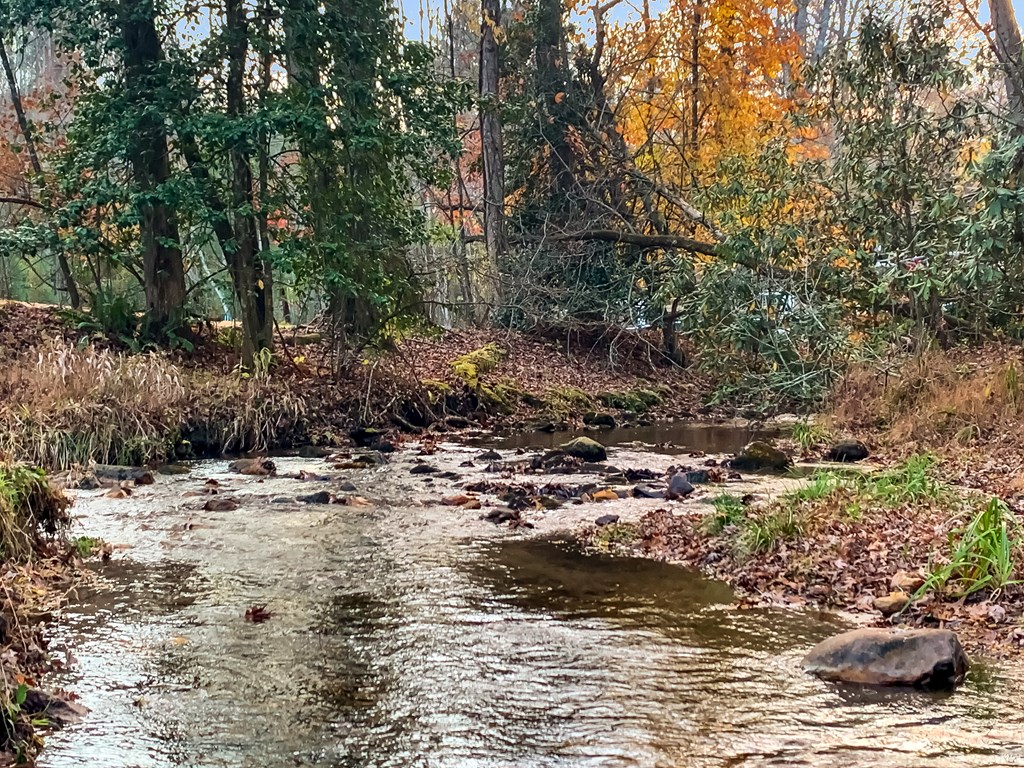 60 Bailey Creek Drive