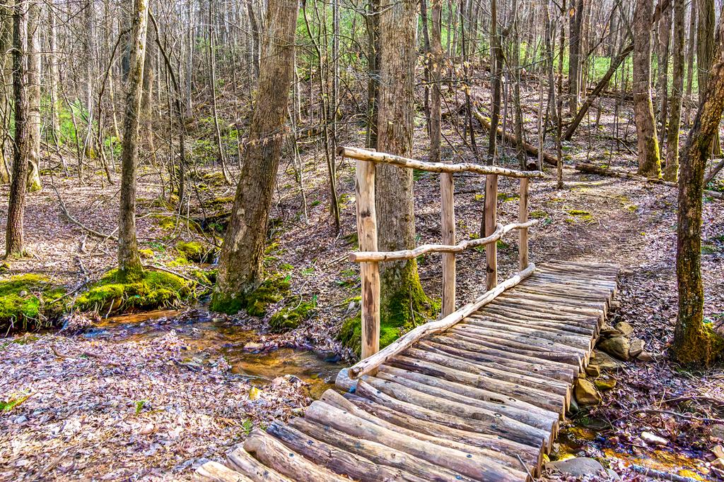 705 Laurel Ridge Drive