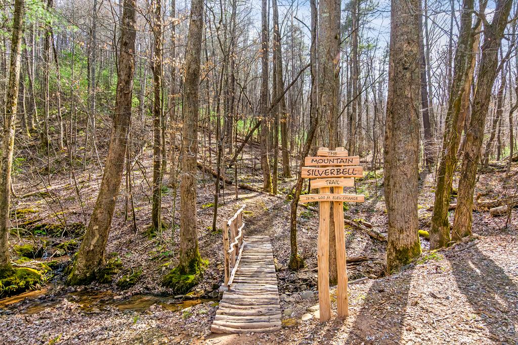 705 Laurel Ridge Drive