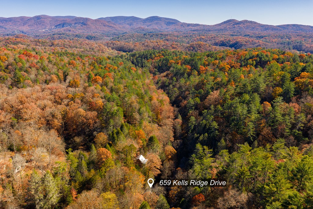 659 Kells Ridge Drive