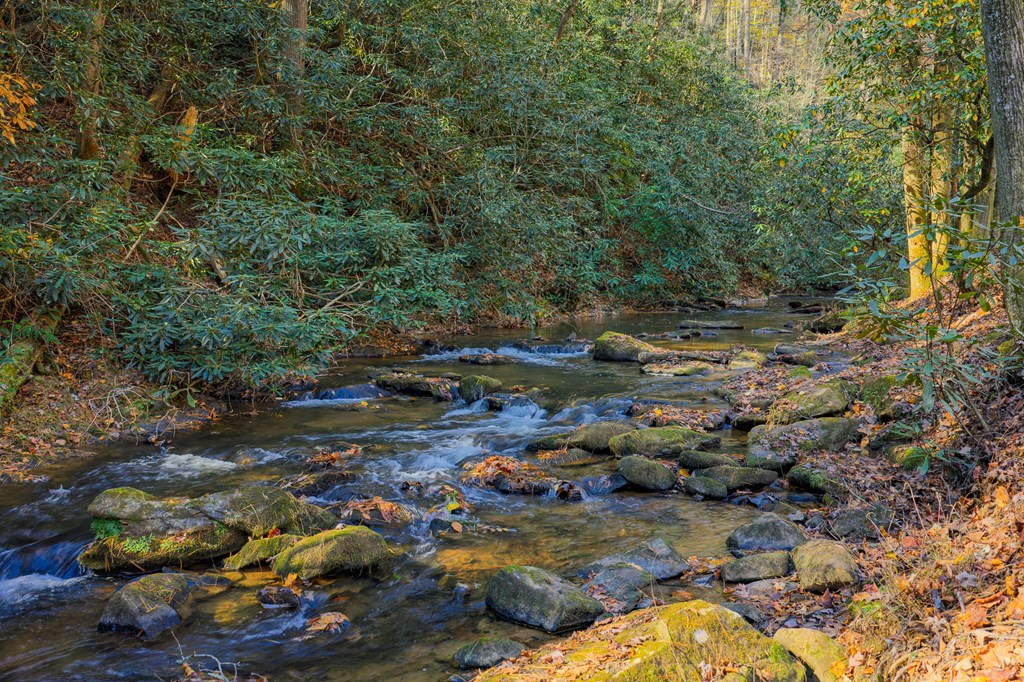 659 Kells Ridge Drive