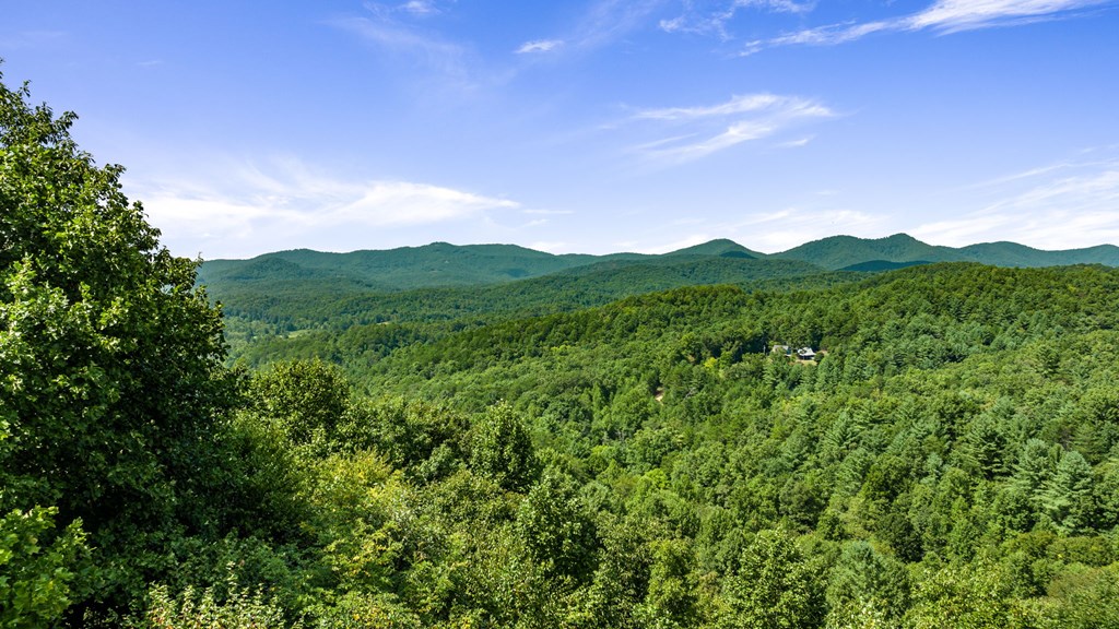 469 Mountain High Drive