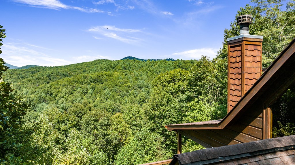 469 Mountain High Drive