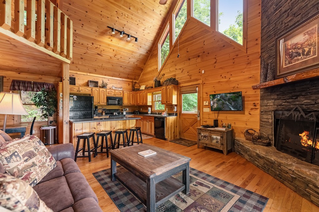 469 Mountain High Drive