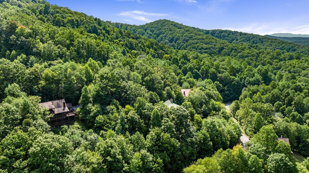 469 Mountain High Drive