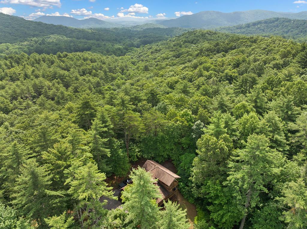 100 Cohutta View Road