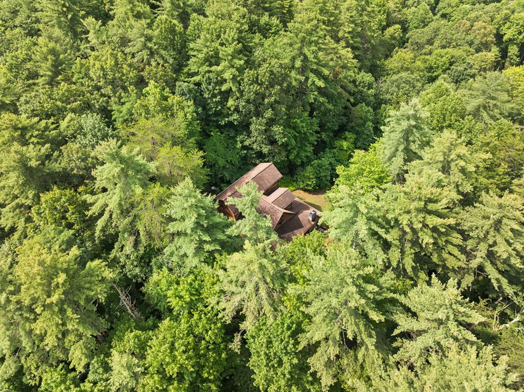 100 Cohutta View Road