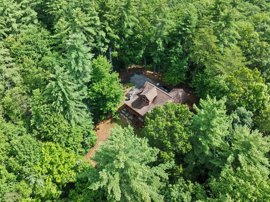 100 Cohutta View Road