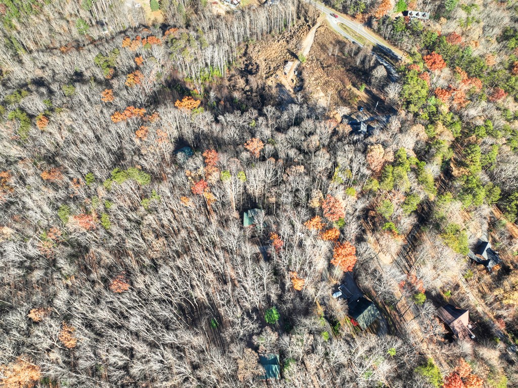 22 Running Bear Ridge