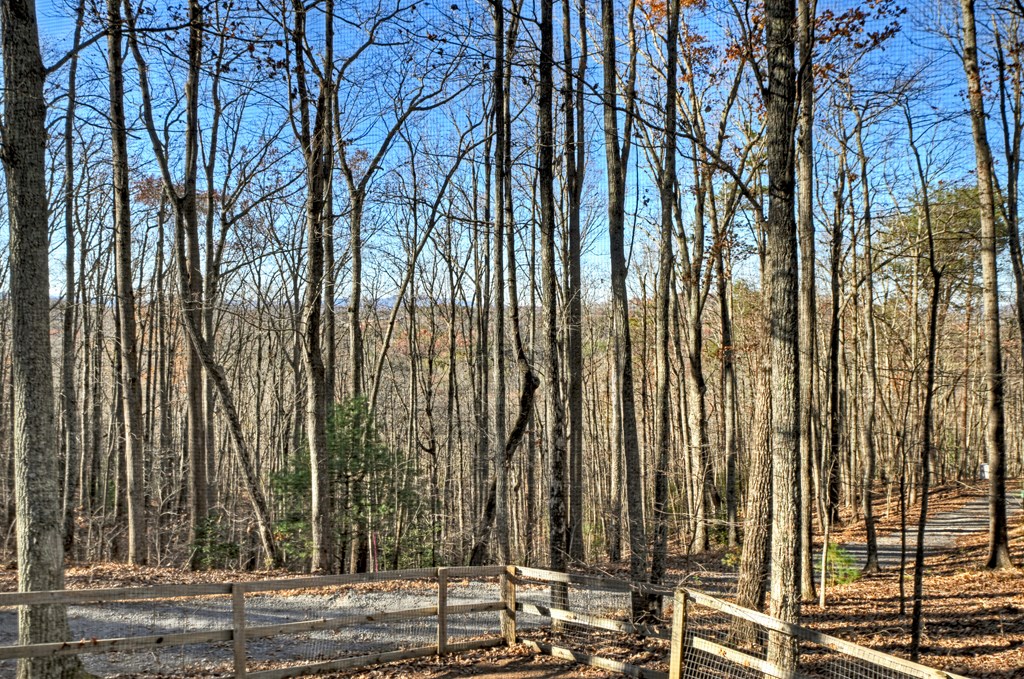 22 Running Bear Ridge