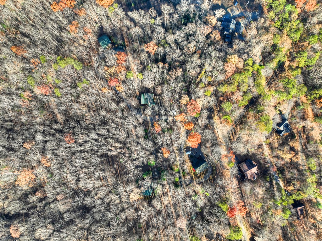 22 Running Bear Ridge