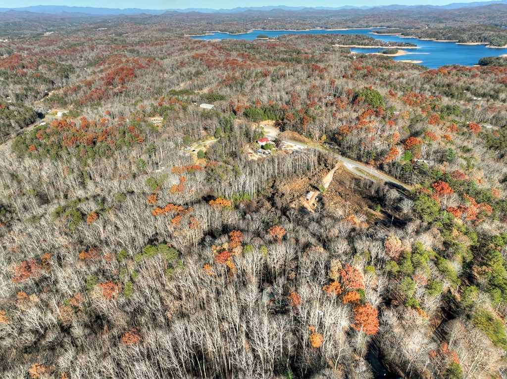 22 Running Bear Ridge