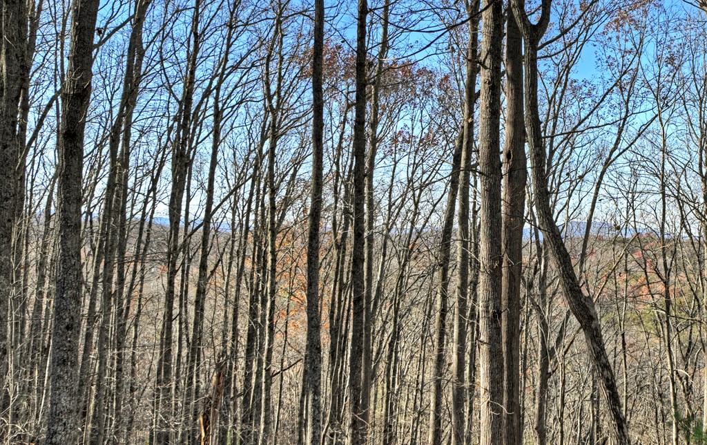 22 Running Bear Ridge