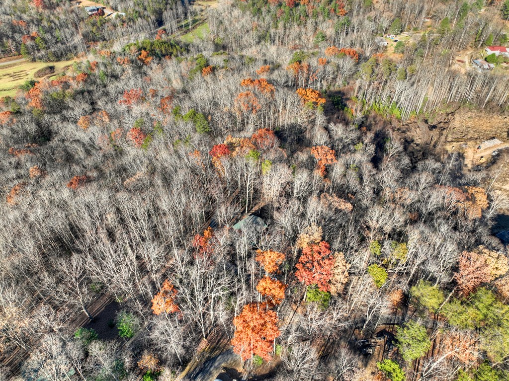 22 Running Bear Ridge