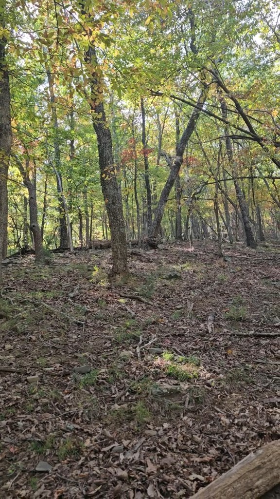 315 Windflower Drive