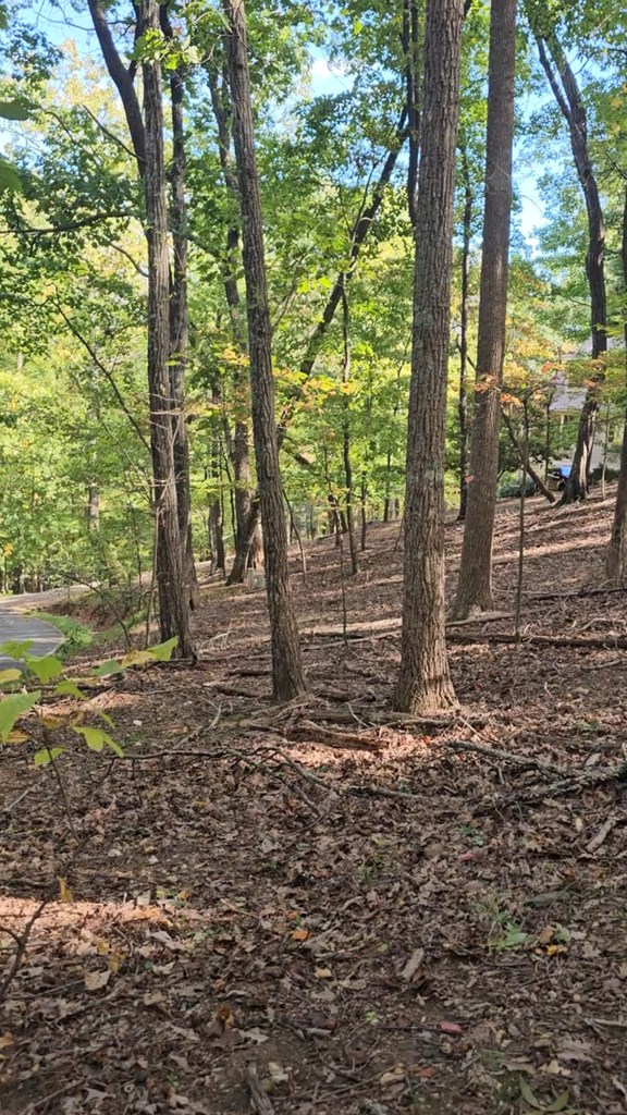 315 Windflower Drive