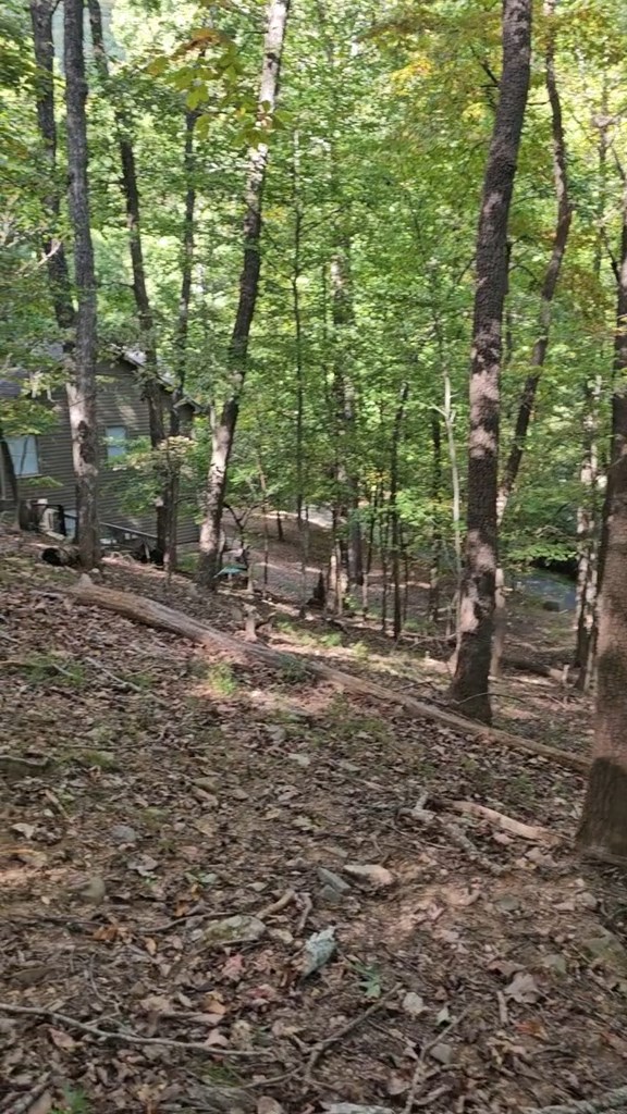 315 Windflower Drive