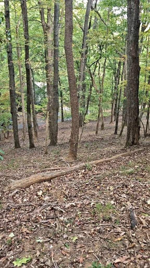 315 Windflower Drive