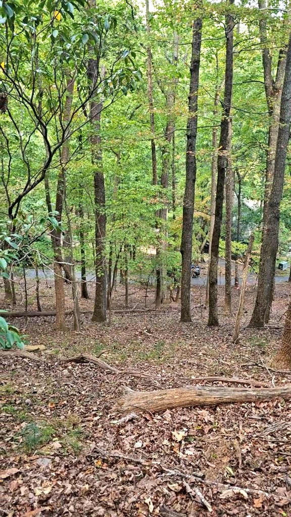 315 Windflower Drive