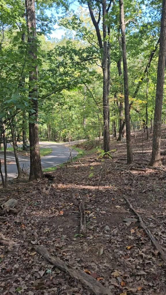 315 Windflower Drive