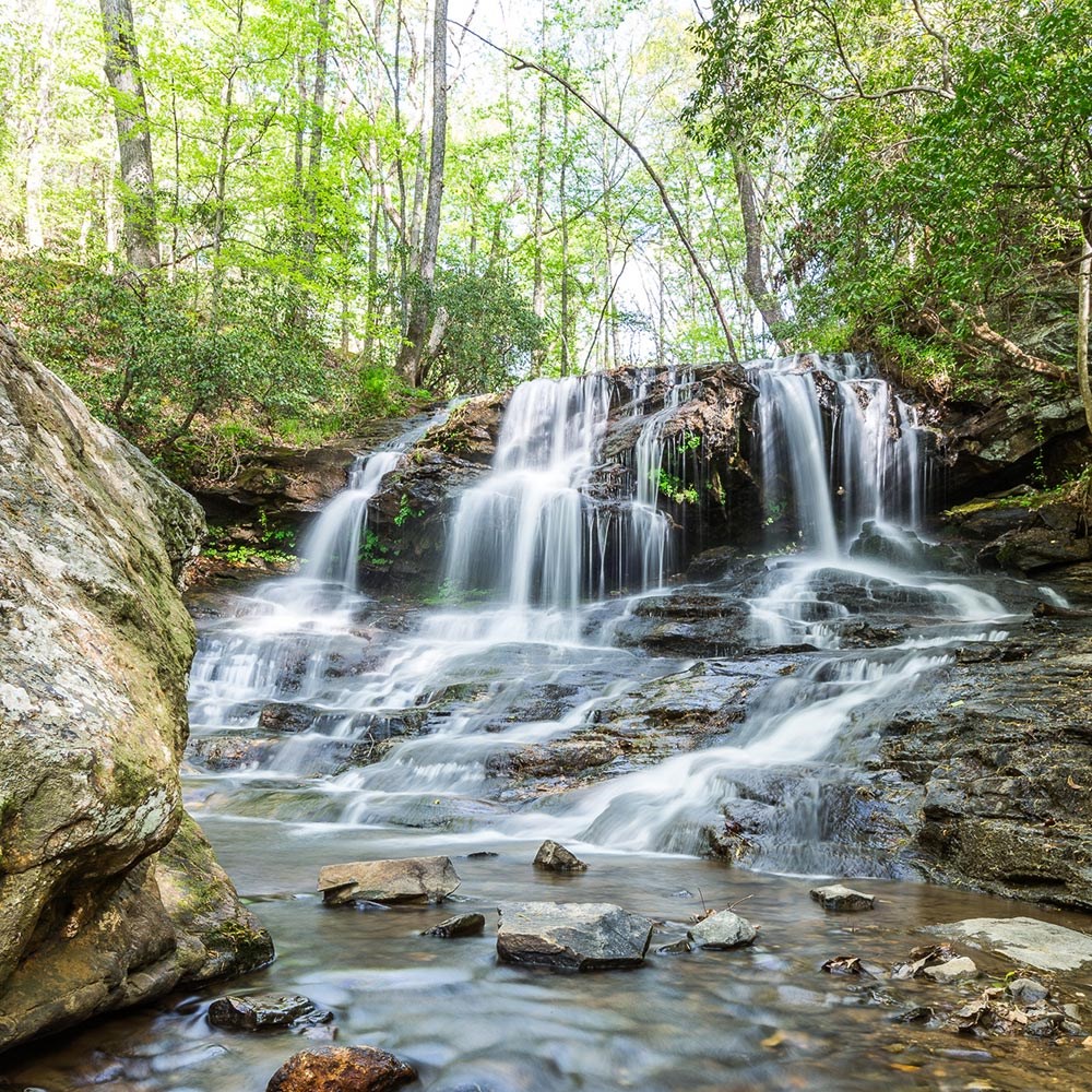 315 Windflower Drive