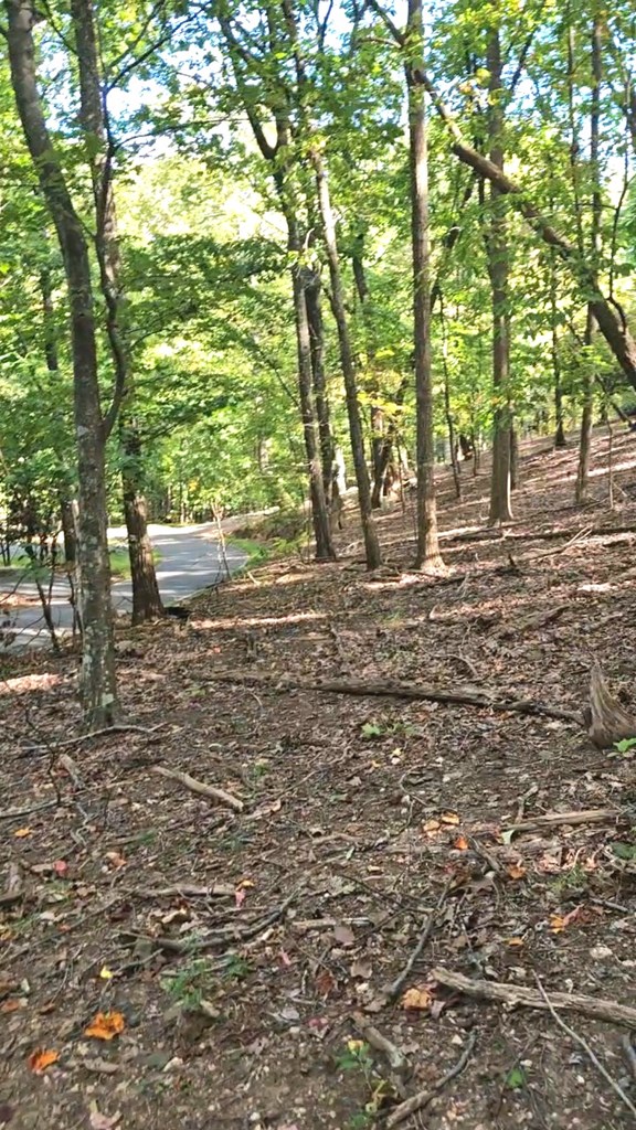 315 Windflower Drive