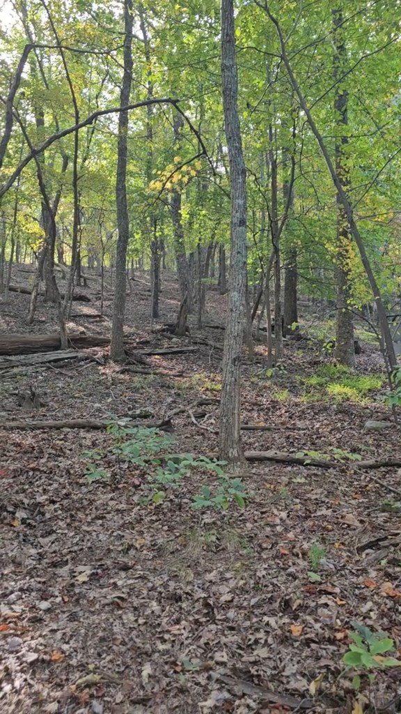 315 Windflower Drive