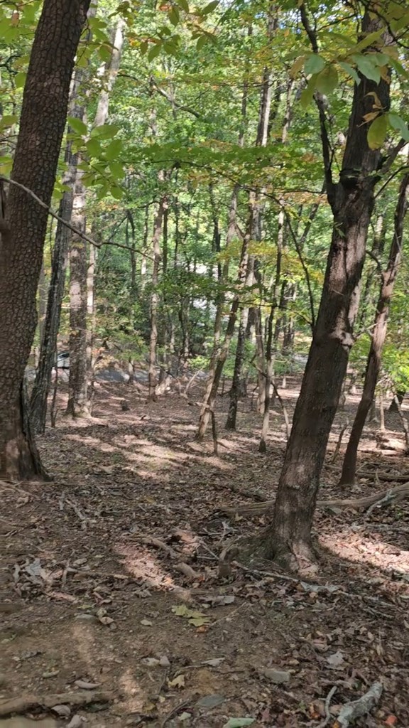 315 Windflower Drive