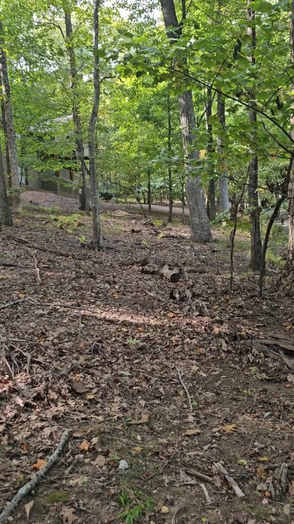 315 Windflower Drive