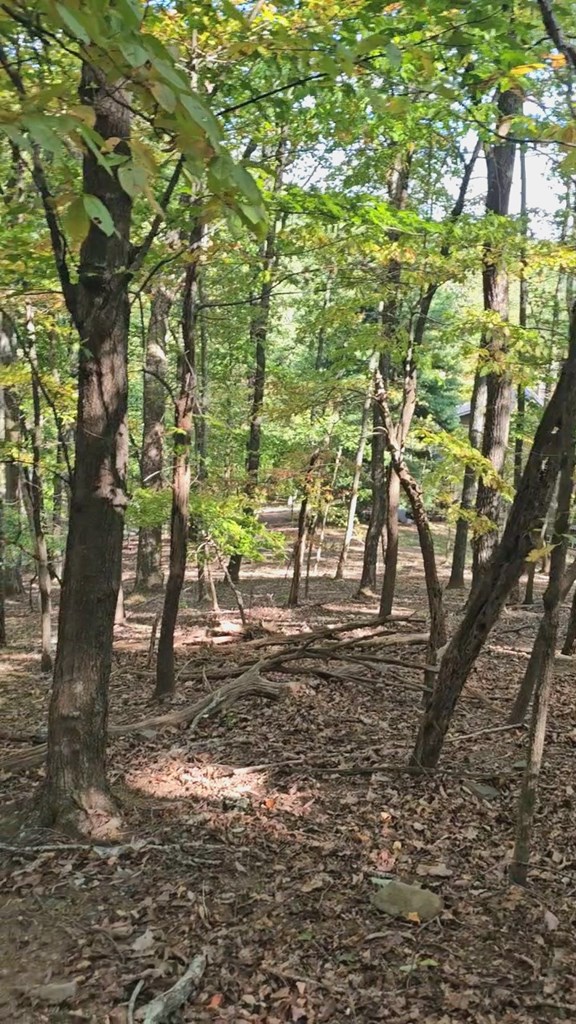 315 Windflower Drive