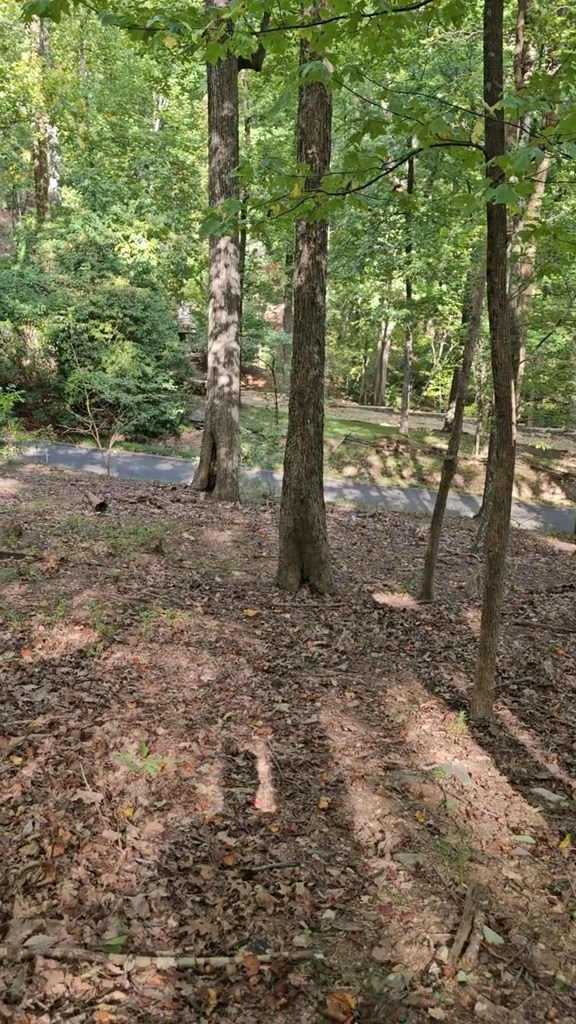 315 Windflower Drive