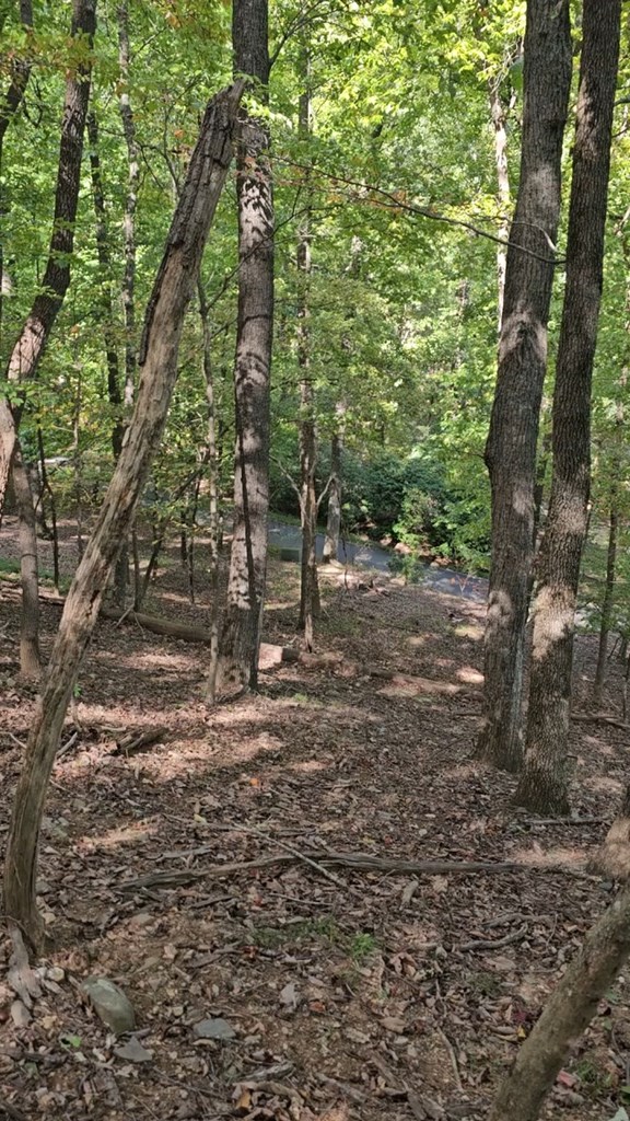 315 Windflower Drive