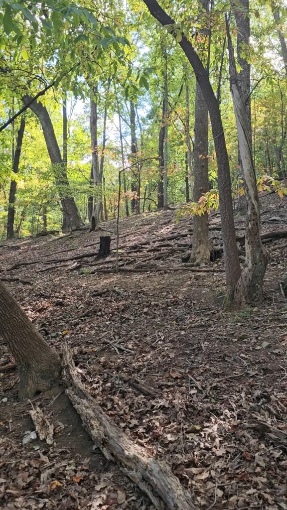 315 Windflower Drive