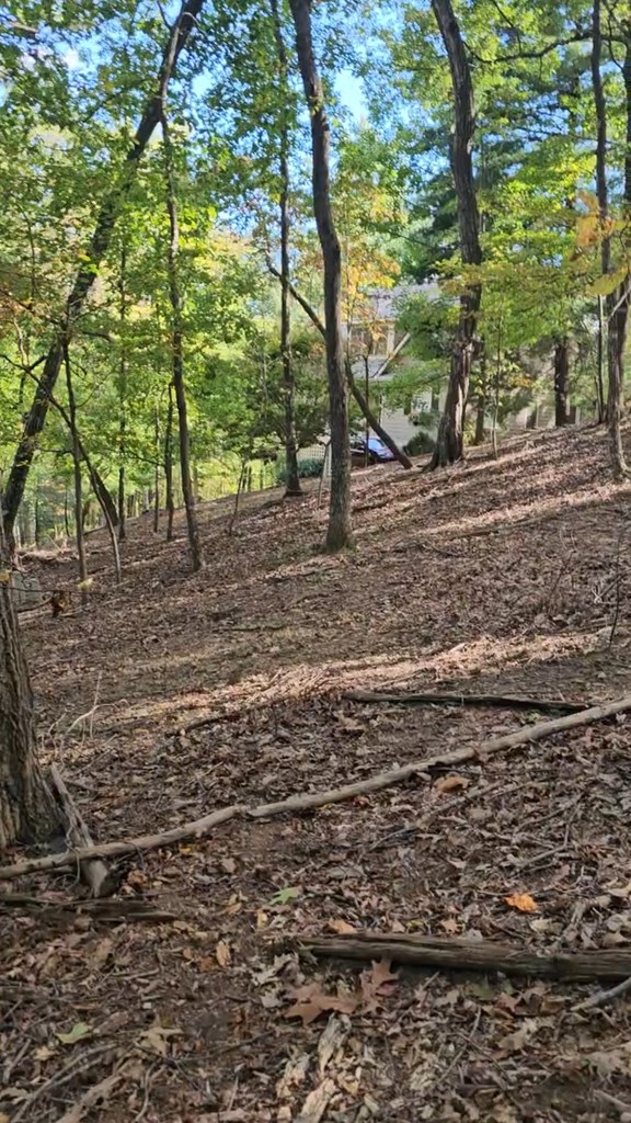 315 Windflower Drive