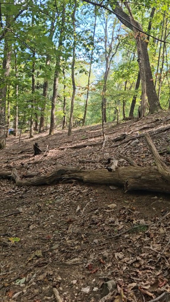 315 Windflower Drive