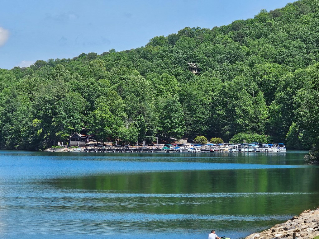 315 Windflower Drive