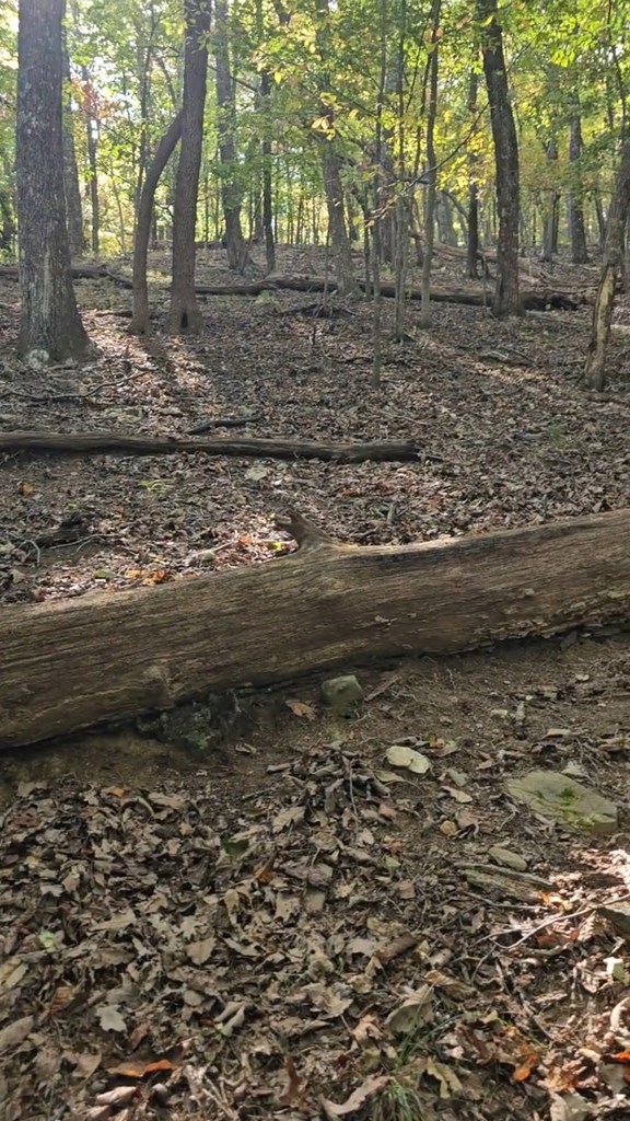 315 Windflower Drive