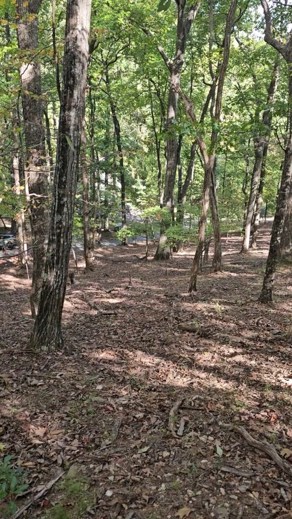 315 Windflower Drive