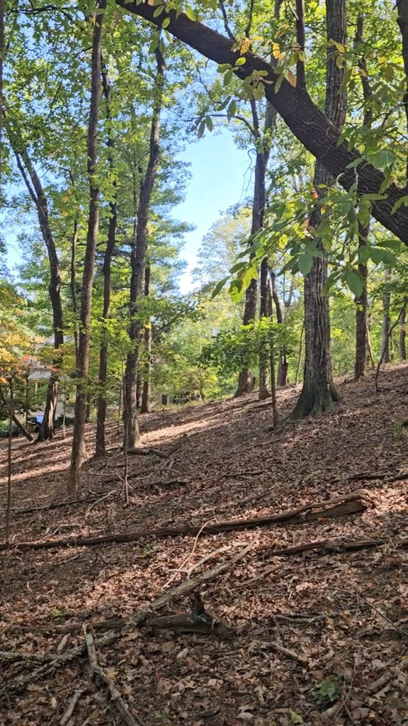 315 Windflower Drive