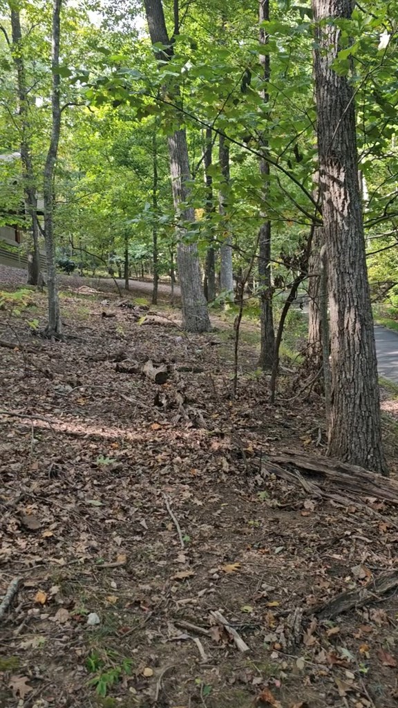 315 Windflower Drive