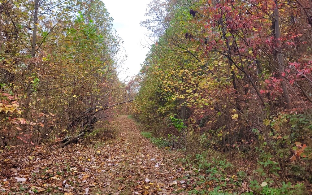 43.91 Old Burnt Mountain Road